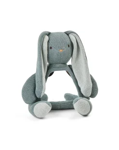 Aktivitets kanin med spejl