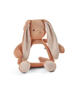 Aktivitets kanin med spejl