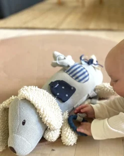 Aktivitetscenter, hund, blue