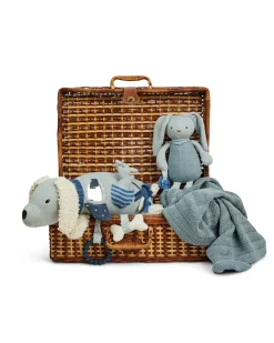 Aktivitetscenter, hund, blue