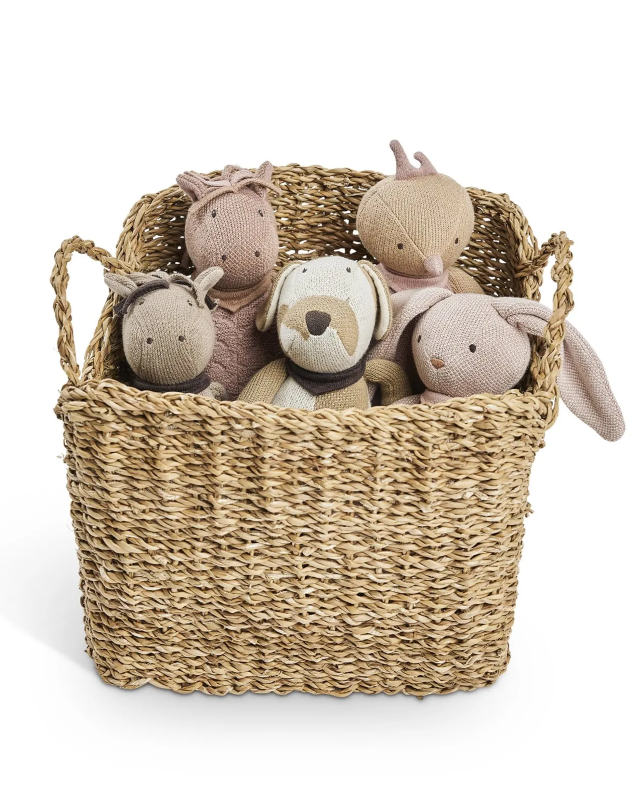 Aktivitetsdyr, hund, natur